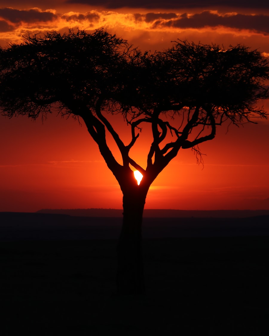 Bushveld lodge at sunset, Mpumalanga